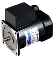 AC INDUCTION GEARMOTOR